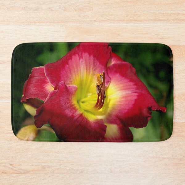 Item preview, Rich red daylily Joan Derifield designed and sold by rvjames.
