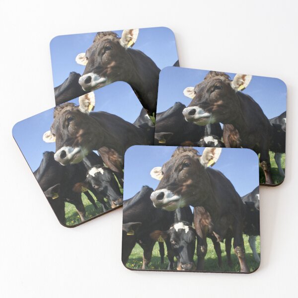 Item preview, Wild cows designed and sold by picturetom.