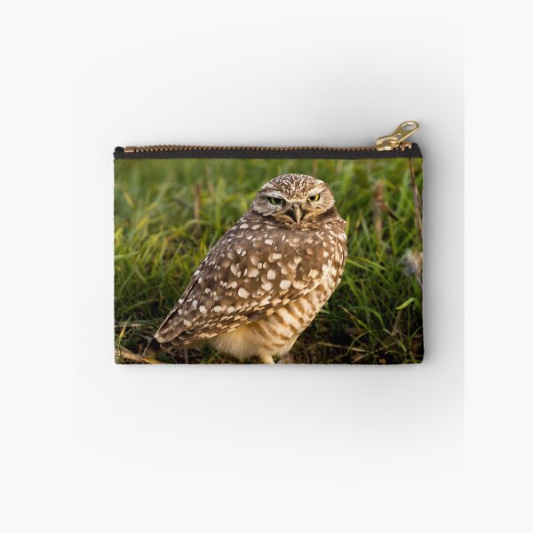 Item preview, Burrowing Owl Cutie designed and sold by PsychoAlien.com.