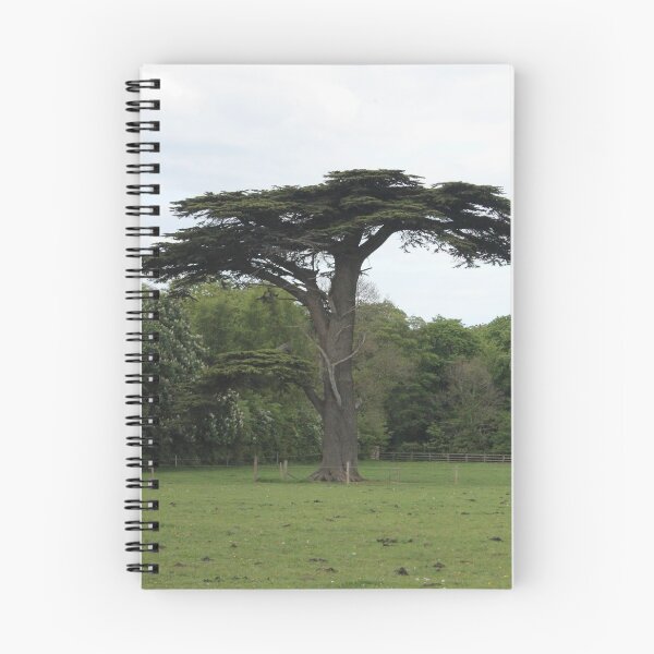 Item preview, El árbol solitario designed and sold by dredfell.