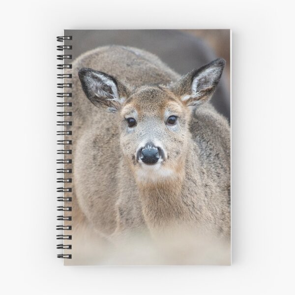 Item preview, White-tailed Deer in Michigan's Upper Peninsula designed and sold by TheCurators.