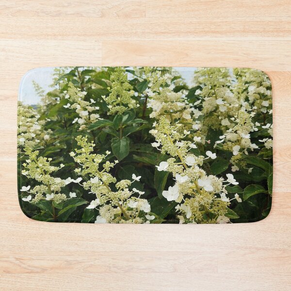 Item preview, Hydrangea spires reaching toward the sky designed and sold by rvjames.