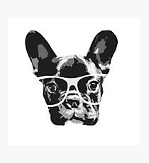 nerd dog Photographic Print