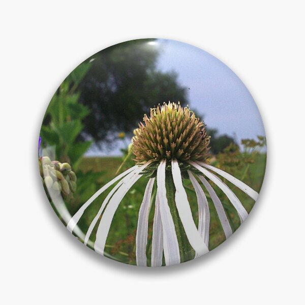 Item preview, Pale (very pale!) purple coneflower, Pope Farm Conservancy prairie 7493 designed and sold by rvjames.