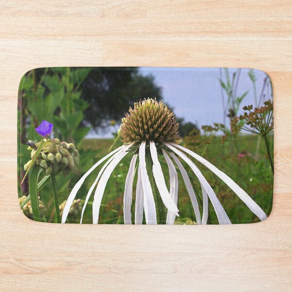 Item preview, Pale (very pale!) purple coneflower, Pope Farm Conservancy prairie 7493 designed and sold by rvjames.
