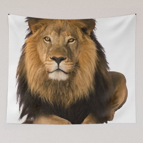 Item preview, León designed and sold by Dandarey.