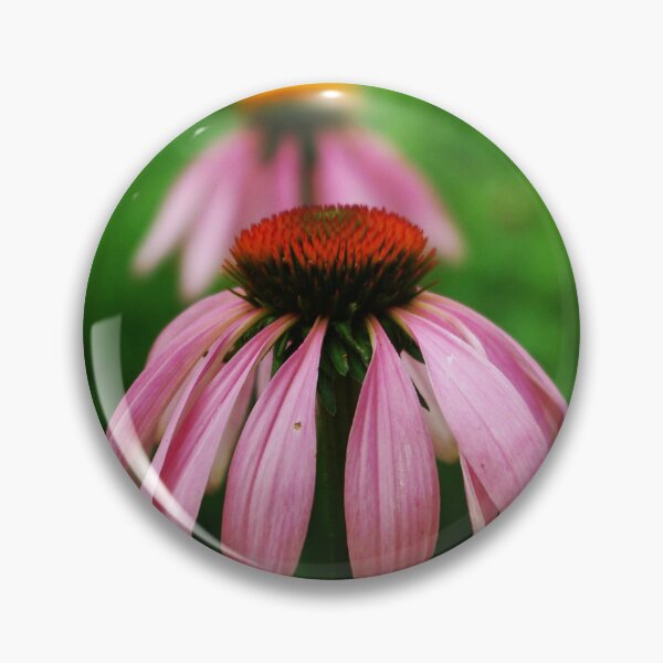 Item preview, Purple Coneflower - Echinacea purpurea designed and sold by rvjames.