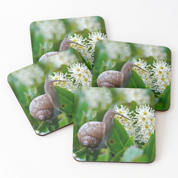Item preview, Contemplative Snail  designed and sold by SorryToBugYou.