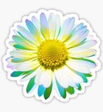 Trippy Daisy Sticker