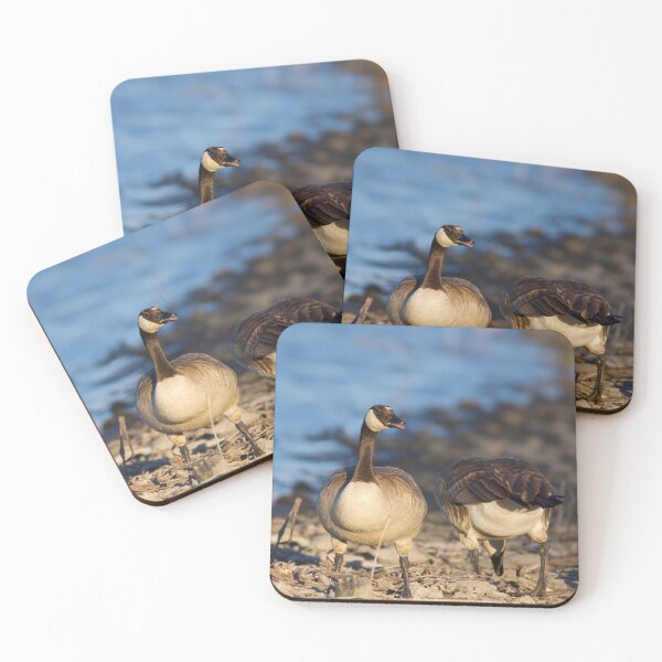 Item preview, Canadian Geese Coming and Going designed and sold by MomentofPercep.
