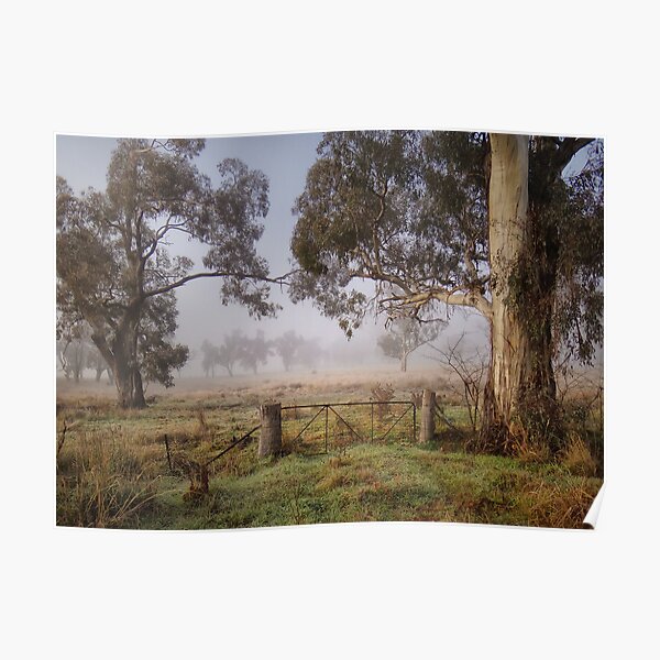 Winter in the Riverina Poster