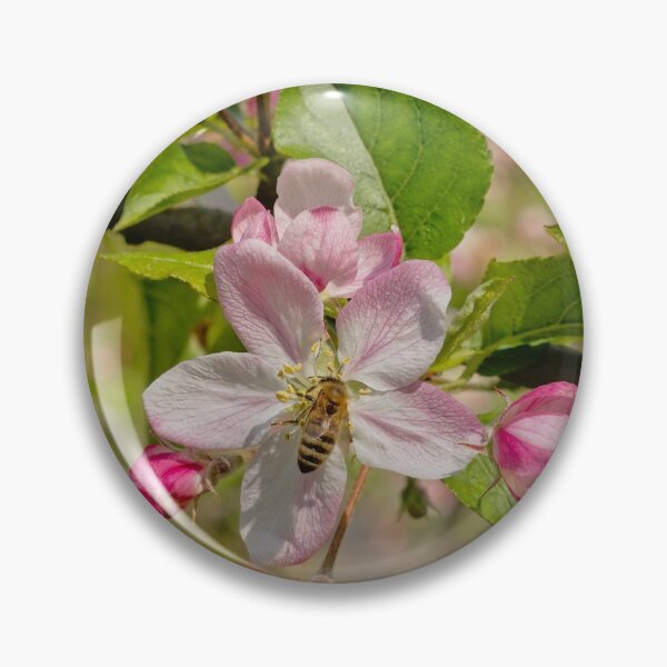 Item preview, Bee on a pink appleblossom designed and sold by xophotography.