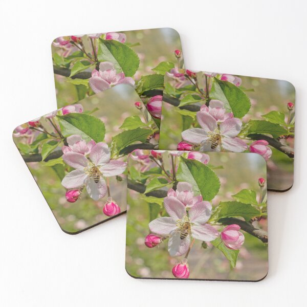 Item preview, Bee on a pink appleblossom designed and sold by xophotography.