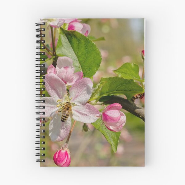 Item preview, Bee on a pink appleblossom designed and sold by xophotography.