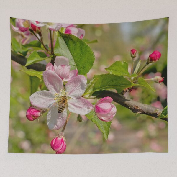 Item preview, Bee on a pink appleblossom designed and sold by xophotography.