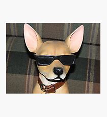 The COOL Dude....... Photographic Print