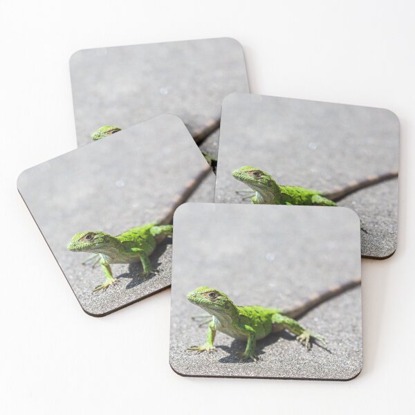 Item preview, Green spiny lizard basking designed and sold by wellsie82.