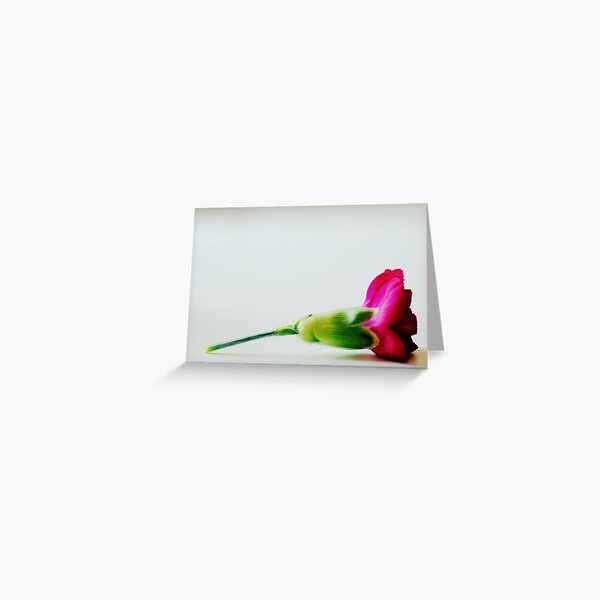 Velvet stem Greeting Card