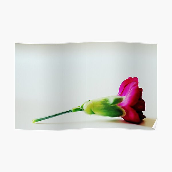 Velvet stem Poster