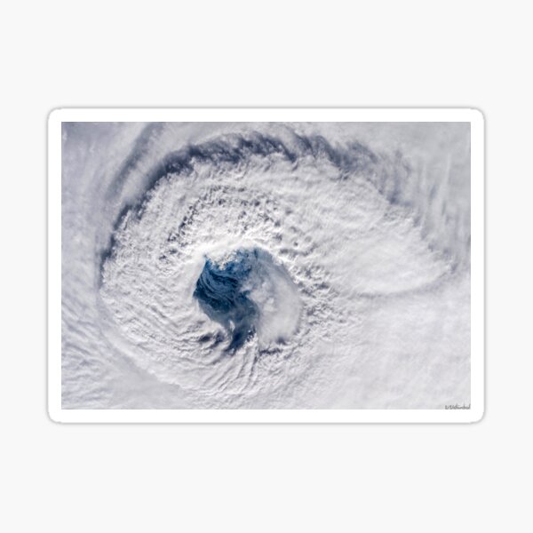 Item preview, Hurricane Florence designed and sold by Weston  Westmoreland.