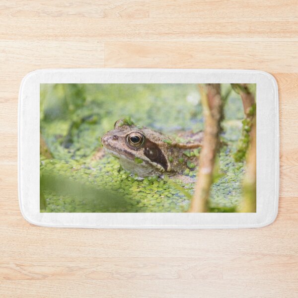 Item preview, Common Frog designed and sold by LaurenTucker.