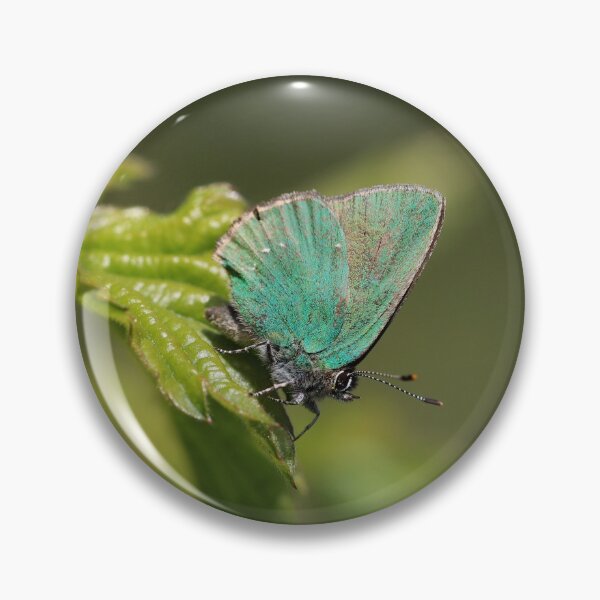Item preview, Green hairstreak designed and sold by cuprum.