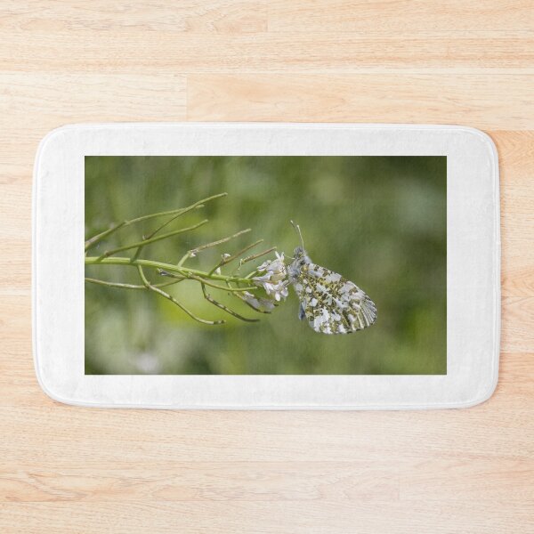 Item preview, Orange Tip Butterfly designed and sold by LaurenTucker.