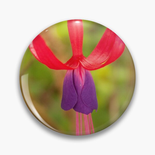 Item preview, Fuchsia Plant designed and sold by ellenmpics.