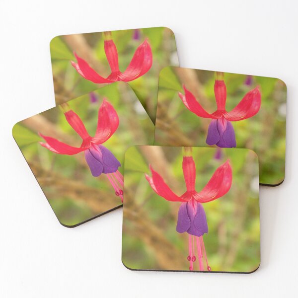 Item preview, Fuchsia Plant designed and sold by ellenmpics.