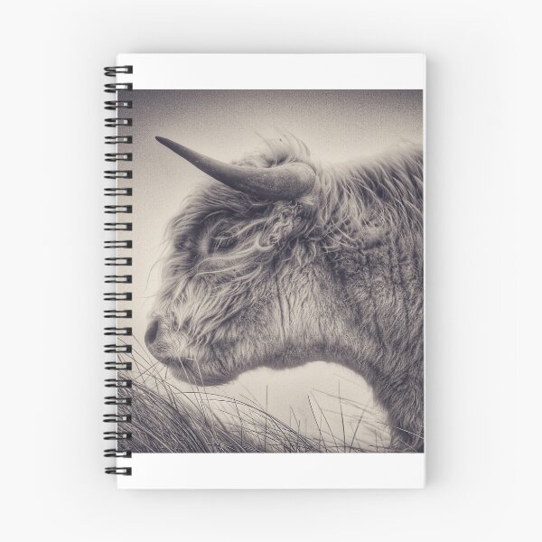 Item preview, Highlander designed and sold by JefM.