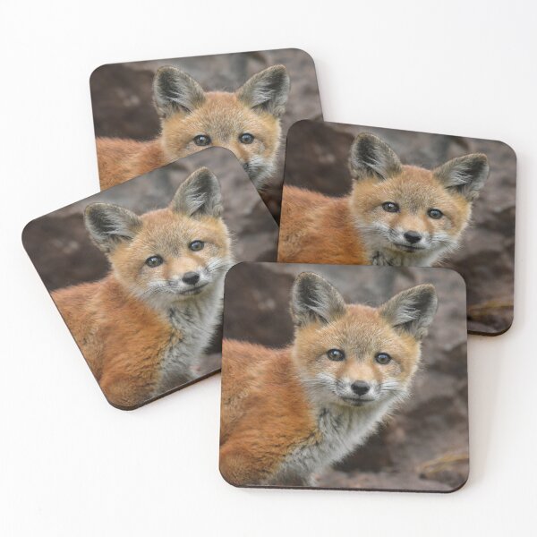 Item preview, Curious Little Red Fox designed and sold by Karen Peron.