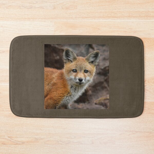 Item preview, Curious Little Red Fox designed and sold by Karen Peron.