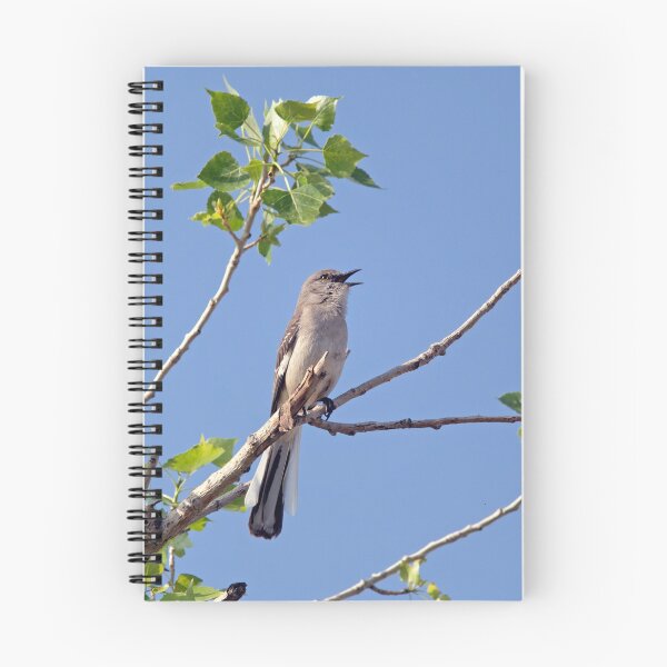 Item preview, Listen To The Mockingbird designed and sold by CarolM.