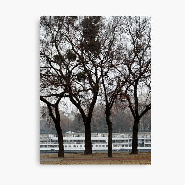 Danube River Bank, Budapest Leinwanddruck