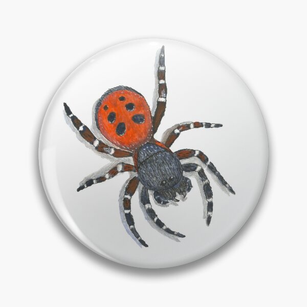 Item preview, Ladybird Spider designed and sold by RieDesigned.