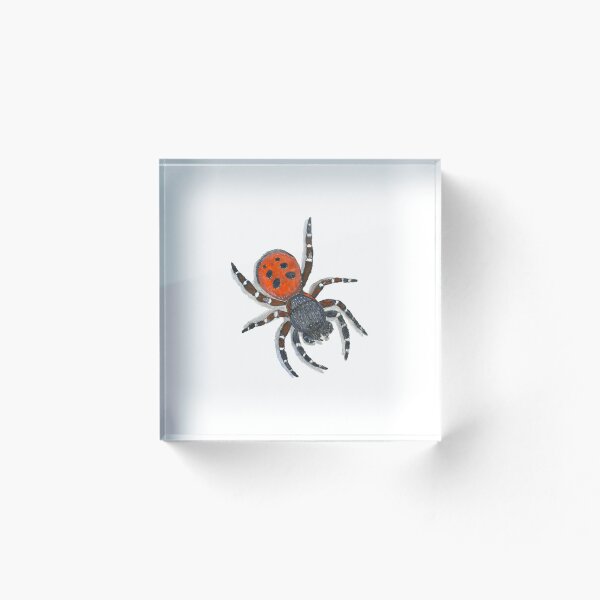 Item preview, Ladybird Spider designed and sold by RieDesigned.