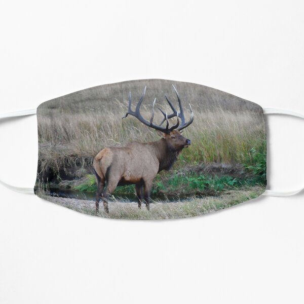 The River's Edge Flat Mask