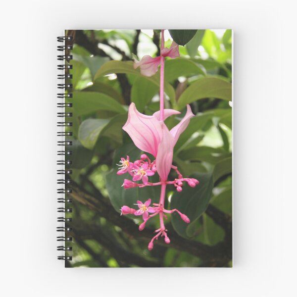 Item preview, Falling Pink designed and sold by coffeebean.