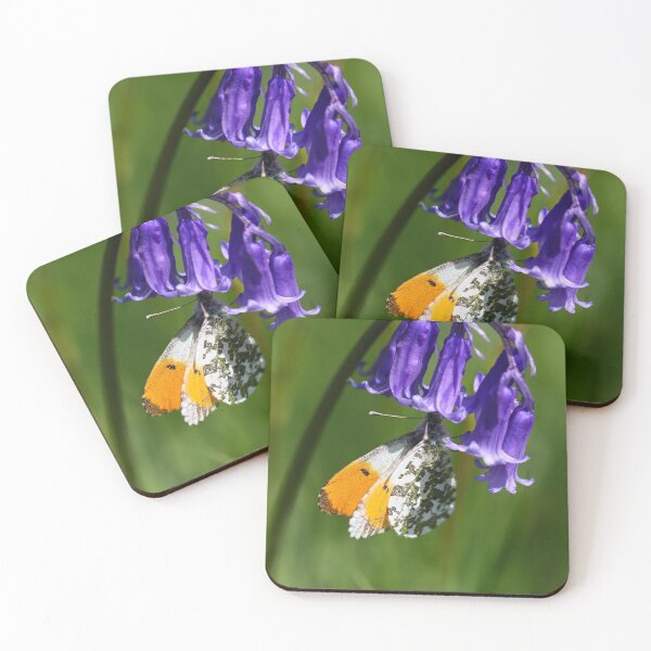 Item preview, Orange tip butterfly and bluebells designed and sold by GreyFeatherPhot.