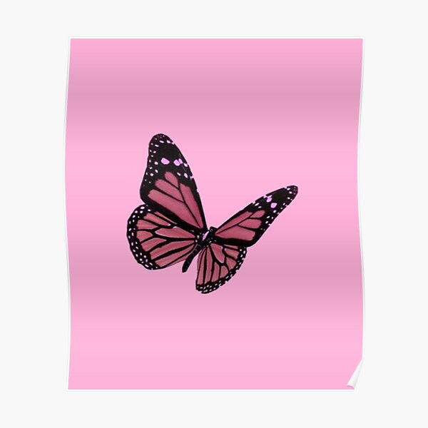 Beautiful Butterfly Poster