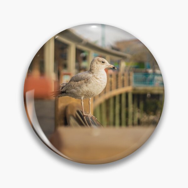 Item preview, Larus californicus 2 designed and sold by KensLensDesigns.