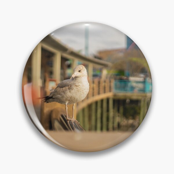 Item preview, Seagull in South Carolina designed and sold by KensLensDesigns.