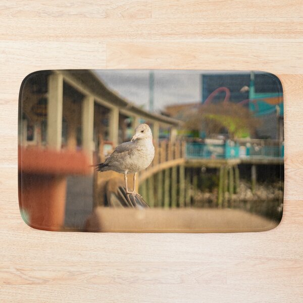 Item preview, Seagull in South Carolina designed and sold by KensLensDesigns.