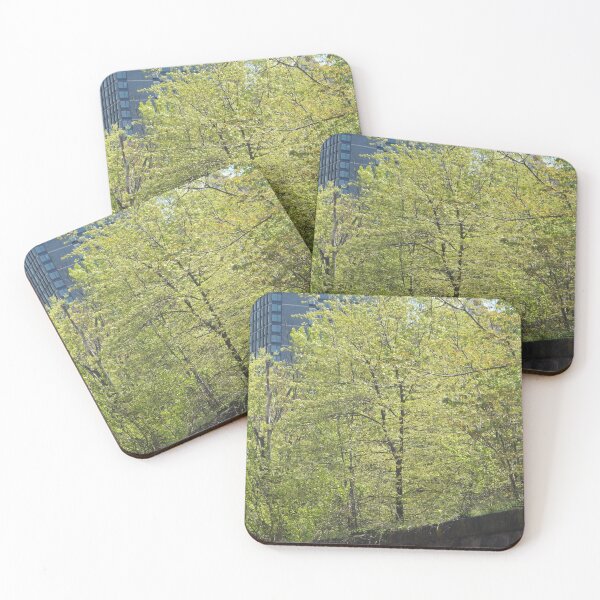 Item preview, Elevated Forest, Harsimus Branch Embankment, Jersey City, New Jersey designed and sold by lenspiro.
