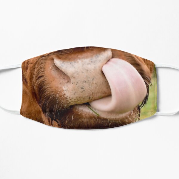Tasty, the highland cow Flat Mask