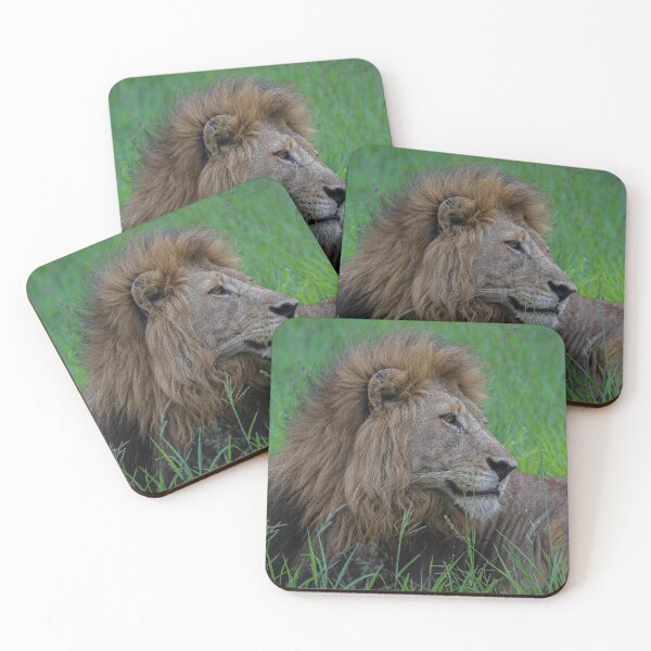 Item preview, Lion designed and sold by nfieldin.