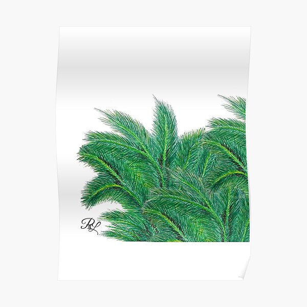 Palm Forest Poster