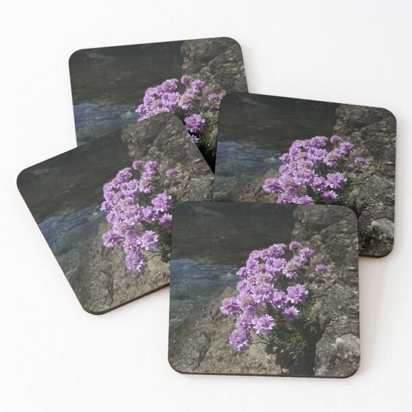 Item preview, Thrift (Armeria maritima) designed and sold by IOMWildFlowers.