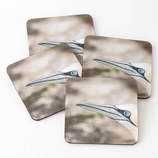 Item preview, Gannet designed and sold by KennyBImages899.