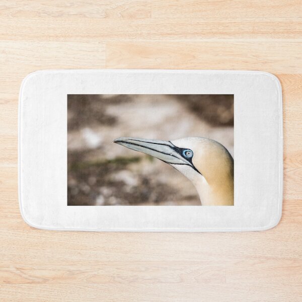 Item preview, Gannet designed and sold by KennyBImages899.